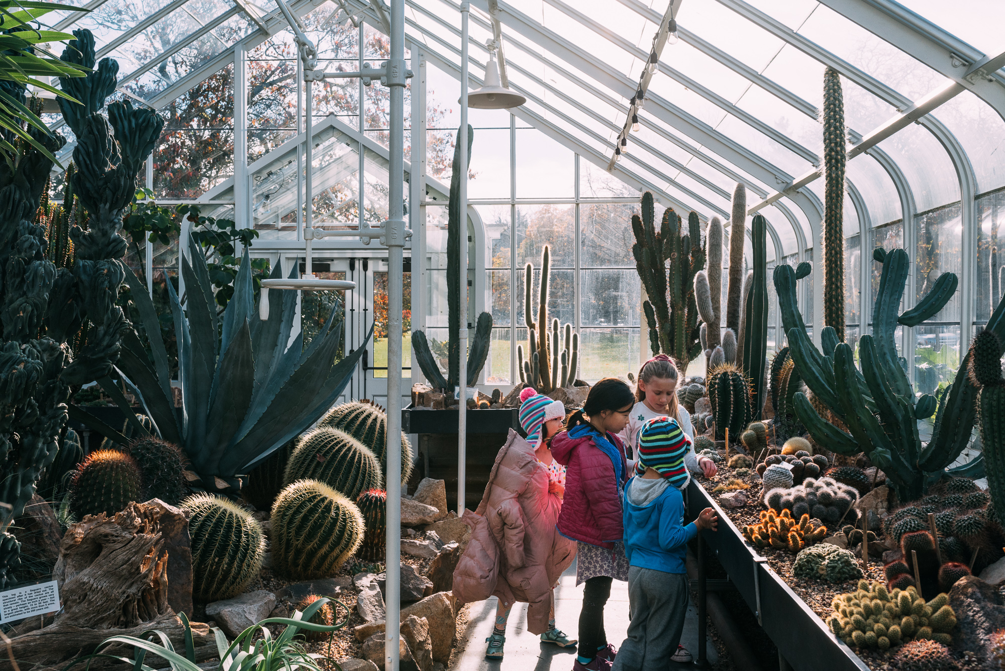 kids in green house - documentary family photography