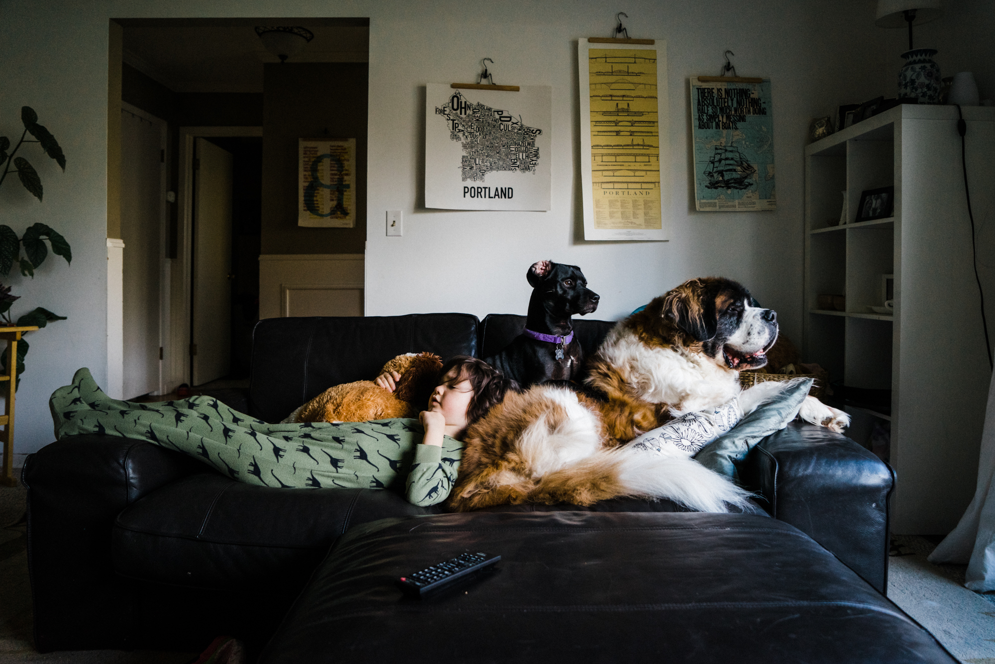 boy on couch with dogs - Documentary Family Photography