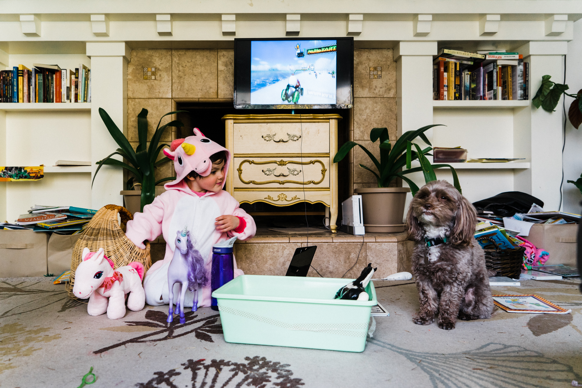 girl in unicorn costume stares at dog - Documentary Family Photography