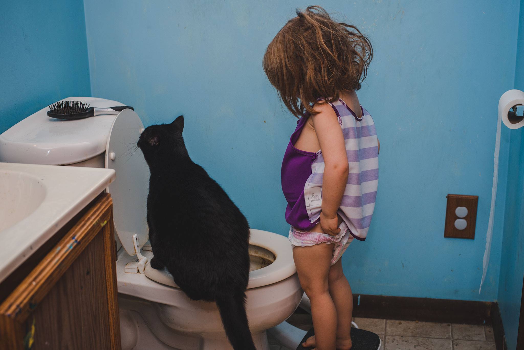 cat sits on toilet seat while girl pulls up pants - Documentary Family Photography