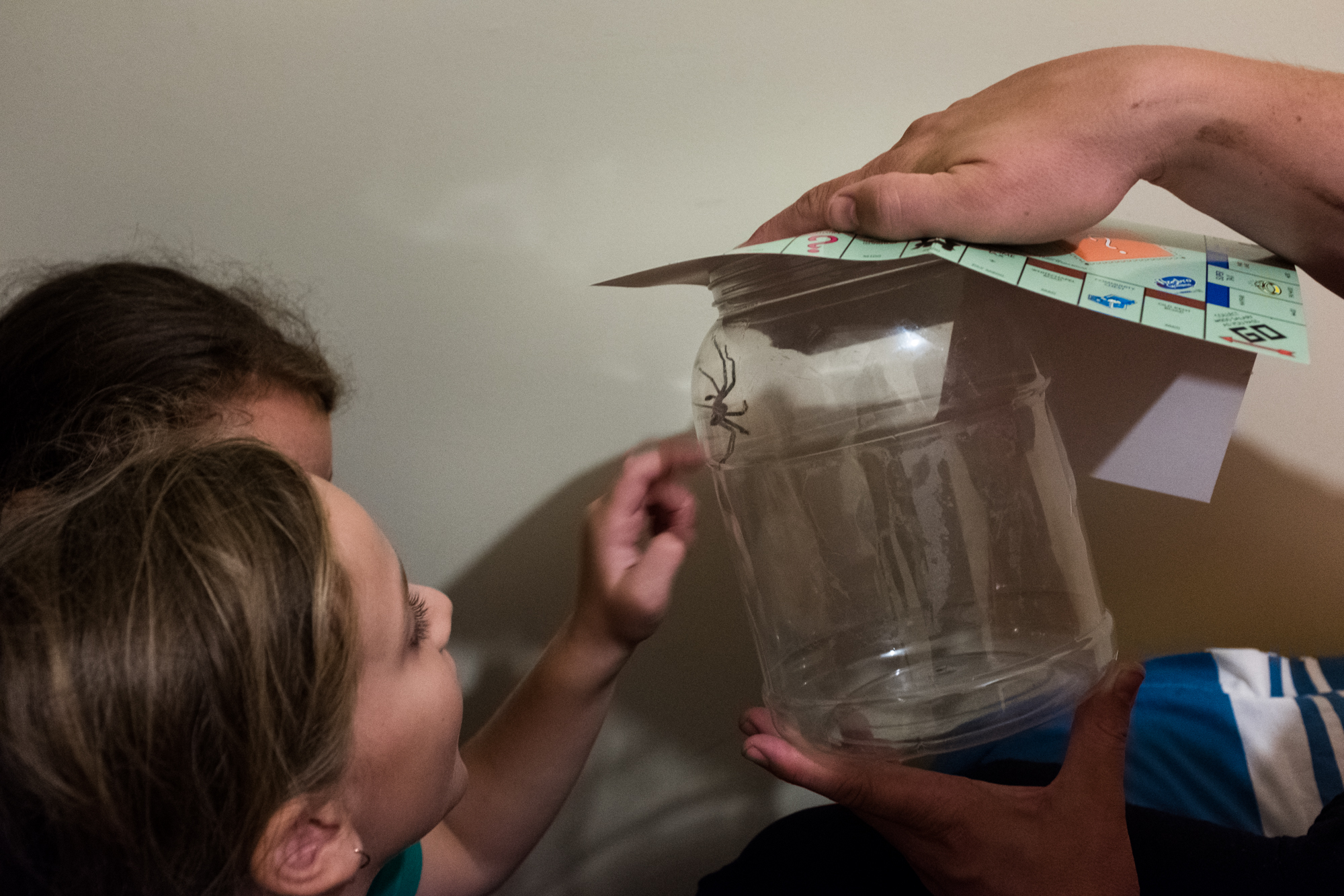 kids looking at giant spider in jar - documentary family photography