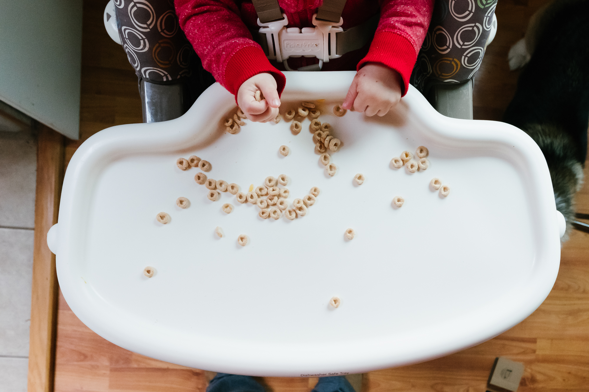 baby hand at high chair with cereal - documentary family photography