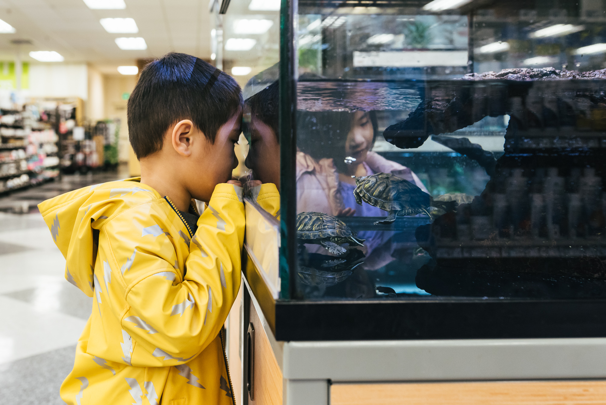 kid staring in to aquarium - documentary family photography