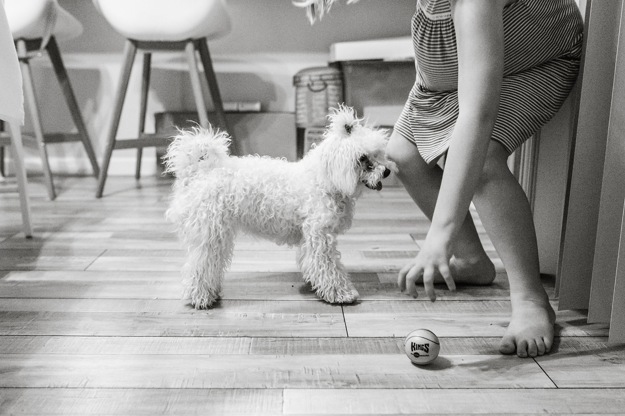 girl with puppy - Documentary Family Photography