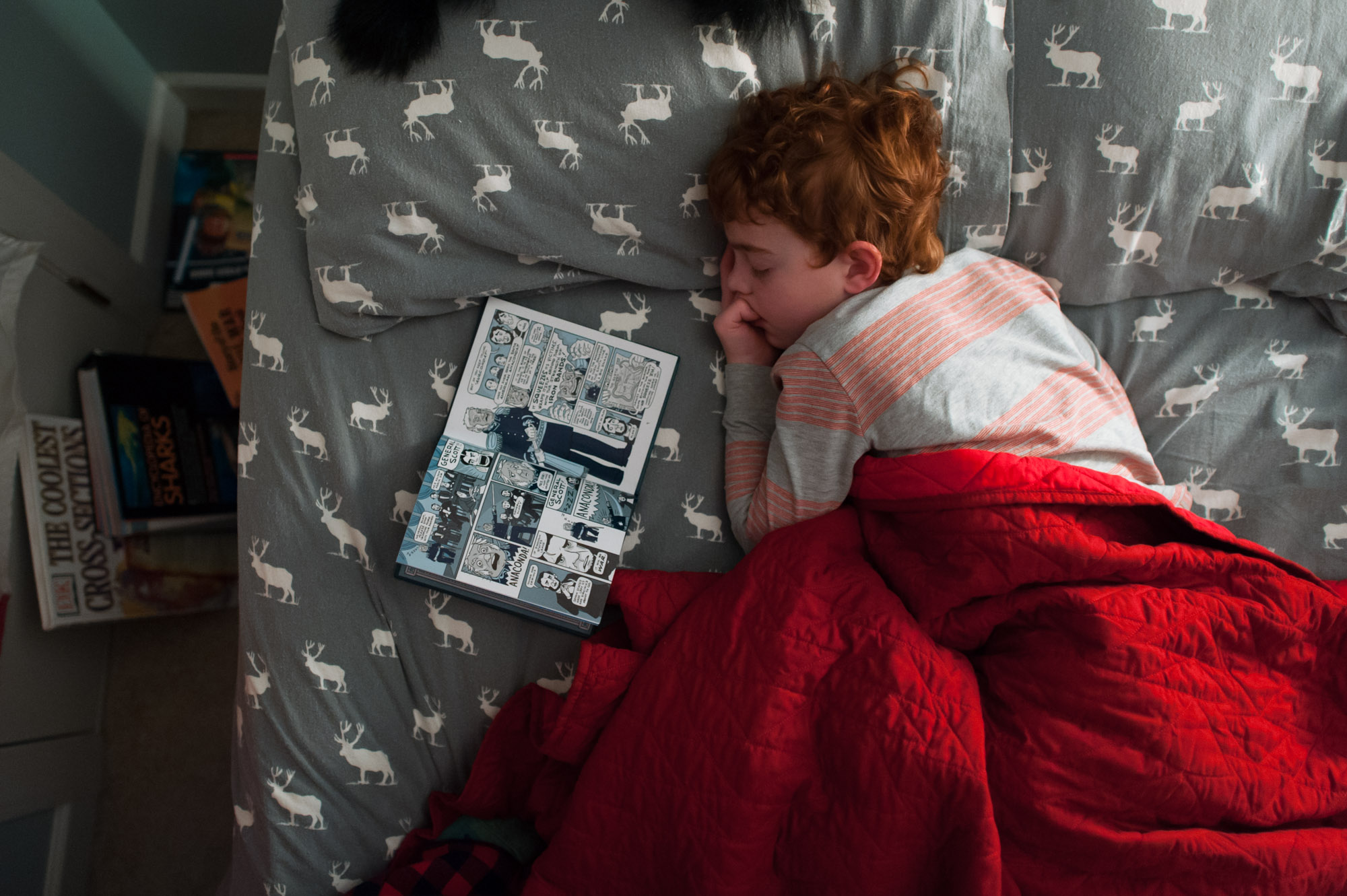 boy in bed with book - Documentary Family Photography