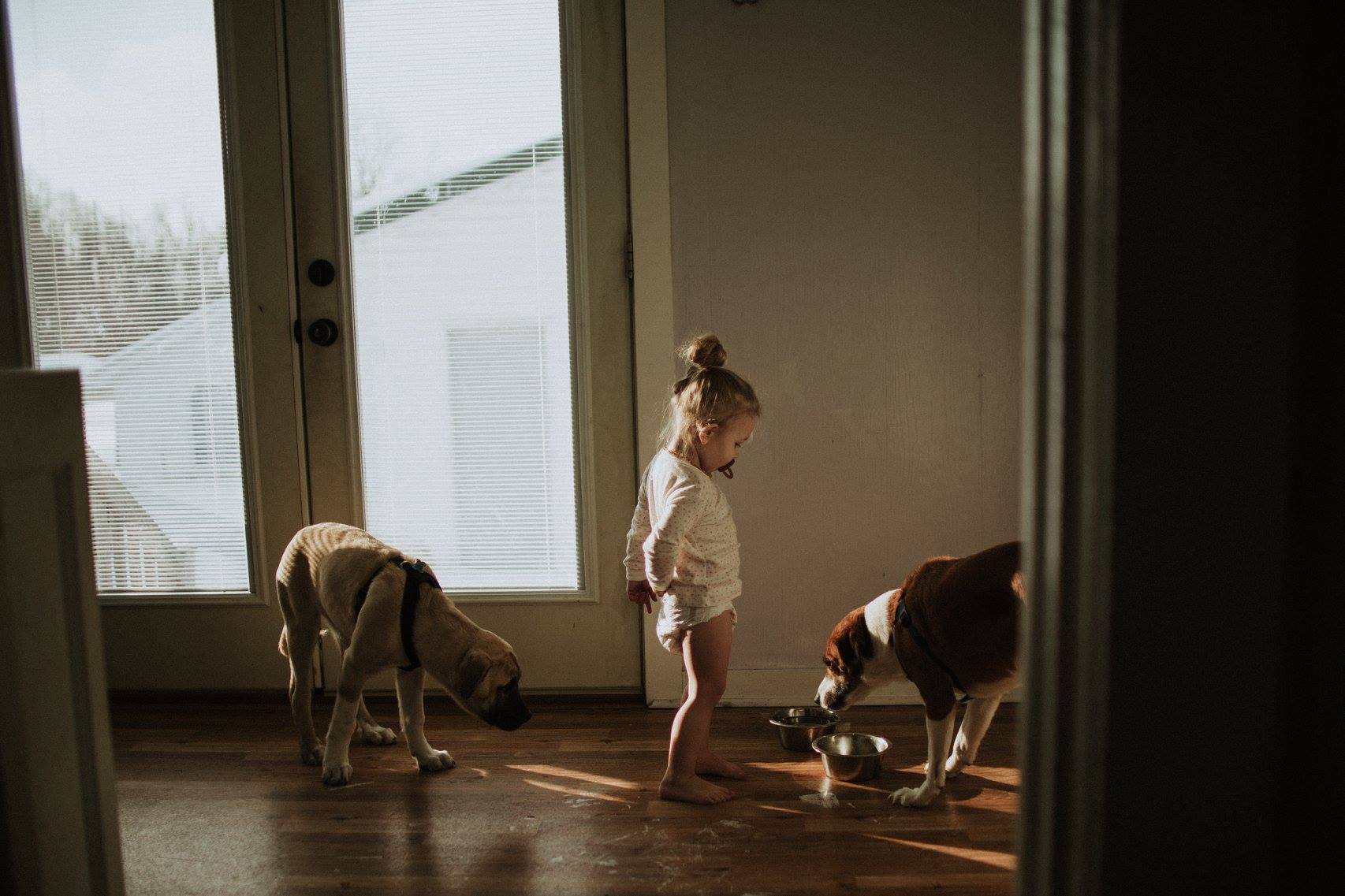 girl with dogs eating - documentary family photography