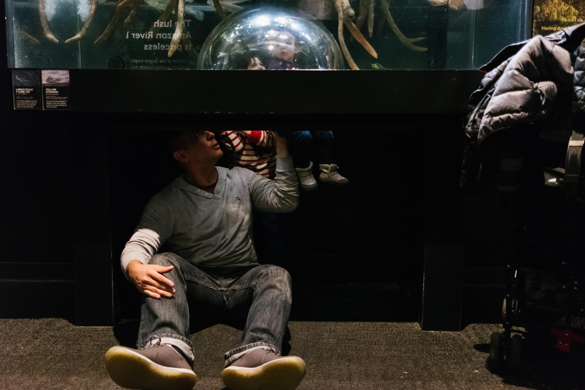 father holding up daughter at aquarium display - Documentary Family Photography