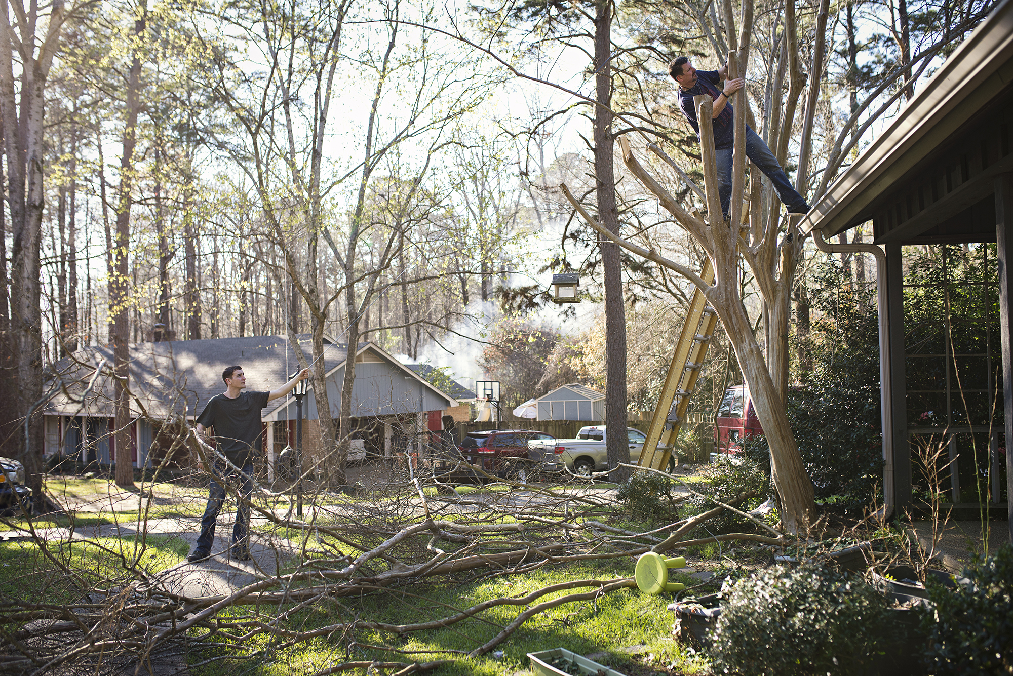 family cutting back tree - documentary family photography