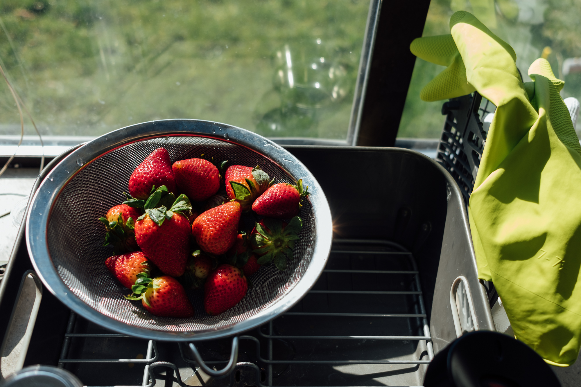 Strawberries drying in window - Documentary Family Photography
