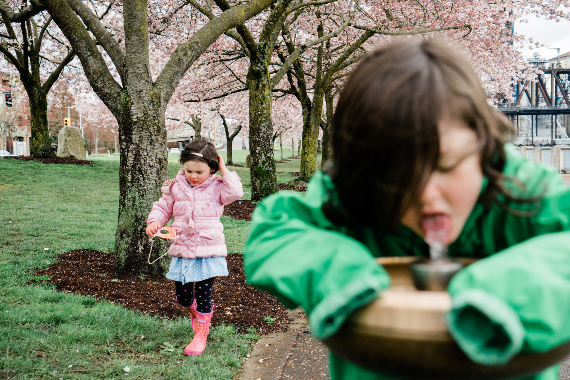 kids at park with cherry blossoms - Documentary Family Photography