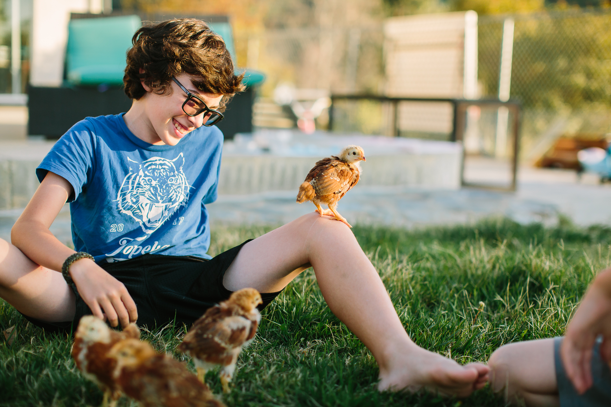 boy with chickens - Documentary Family Photography