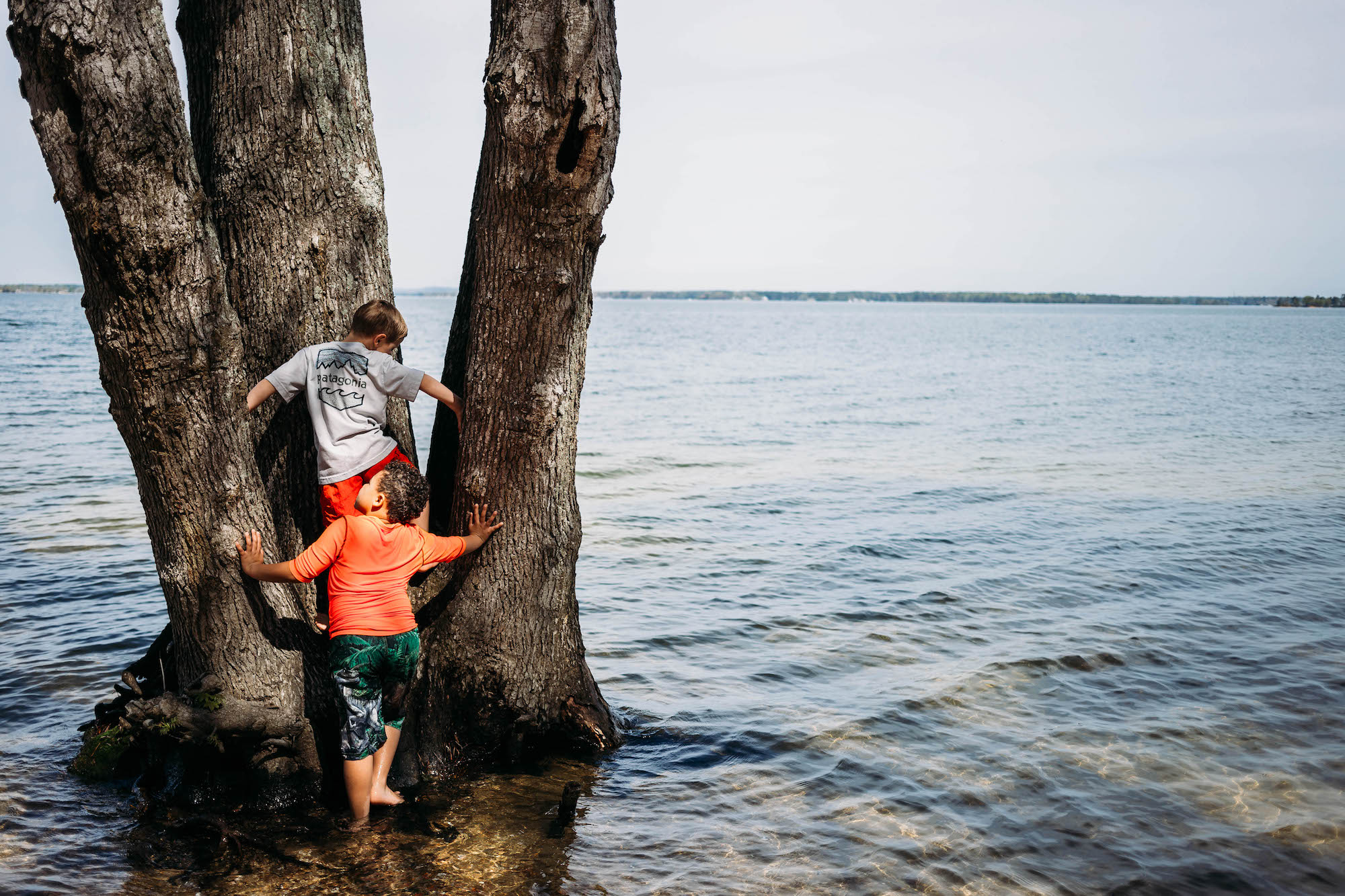 boys climb tree at high tide - documentary family photography