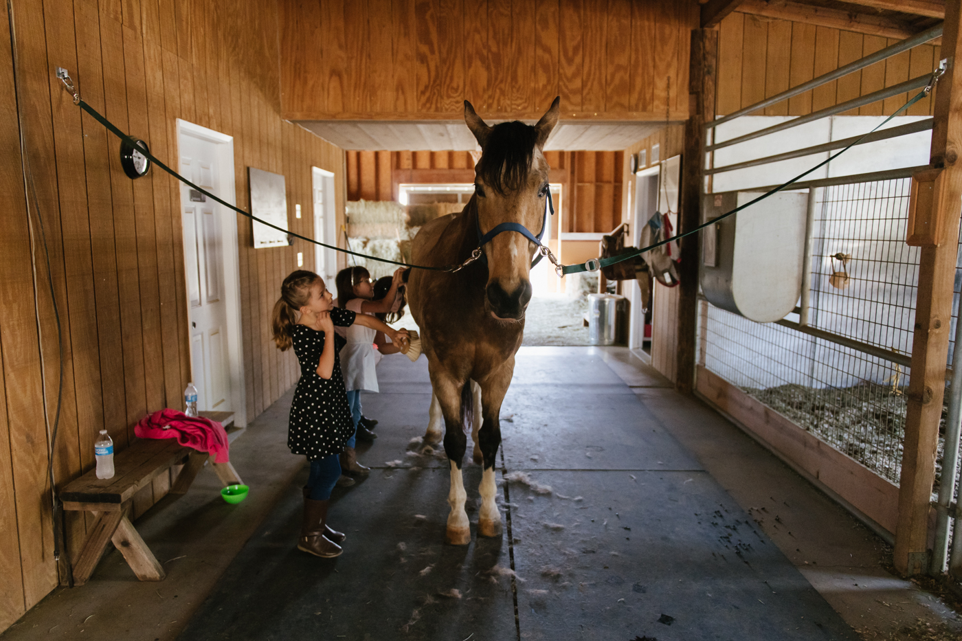 girl with horse - documentary family photography