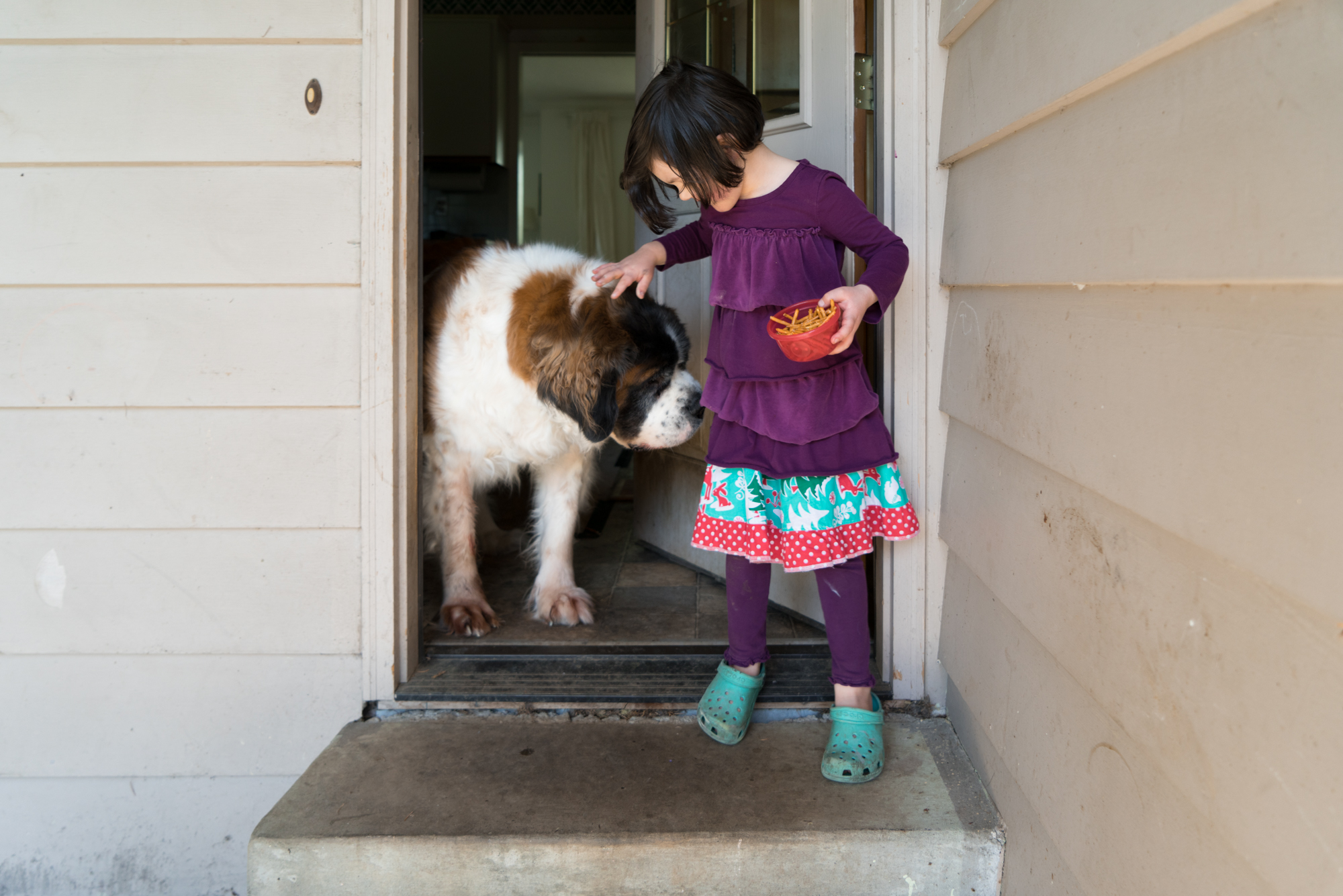 girl with St. Bernard - documentary family photography