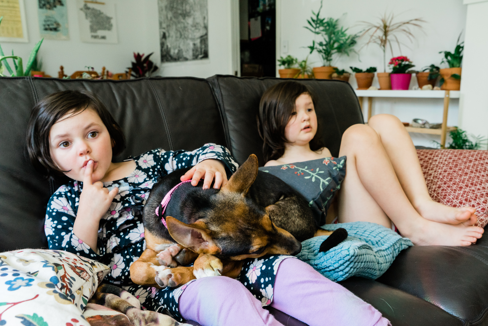 kids on couch with puppy - documentary family photography