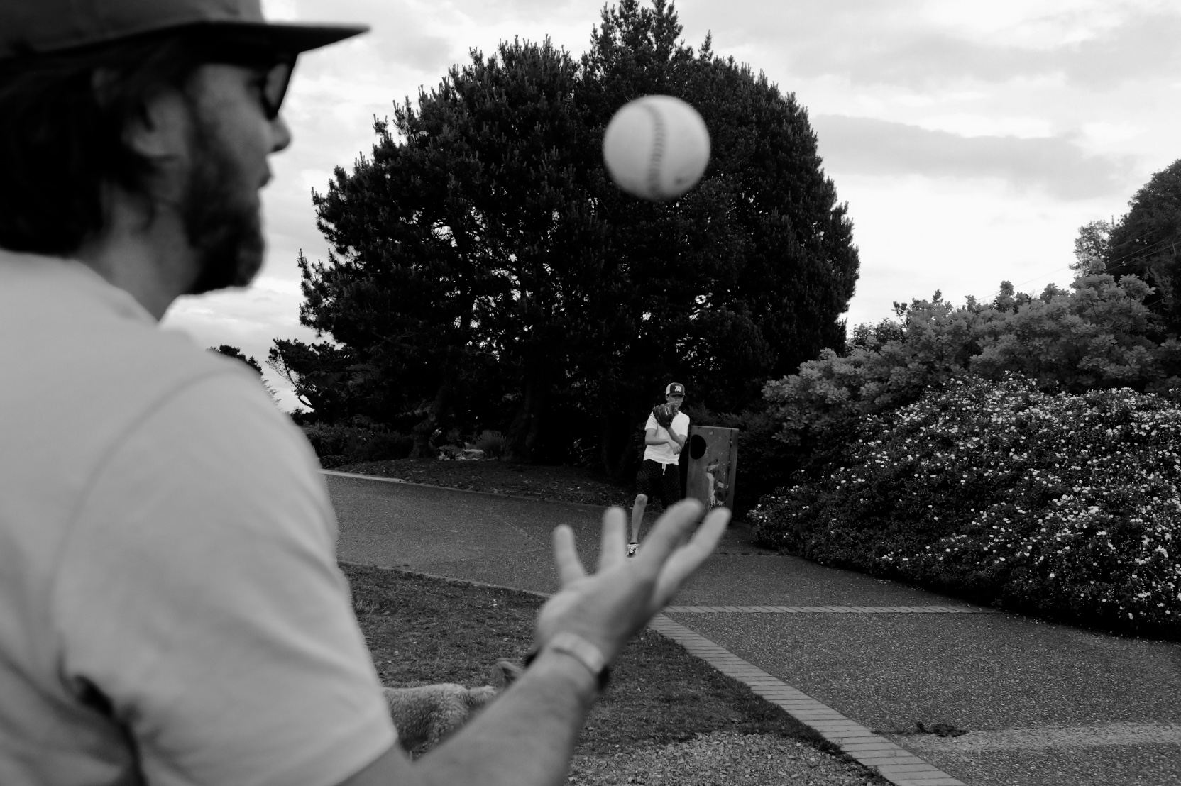 father and son with baseball - Documentary family photography
