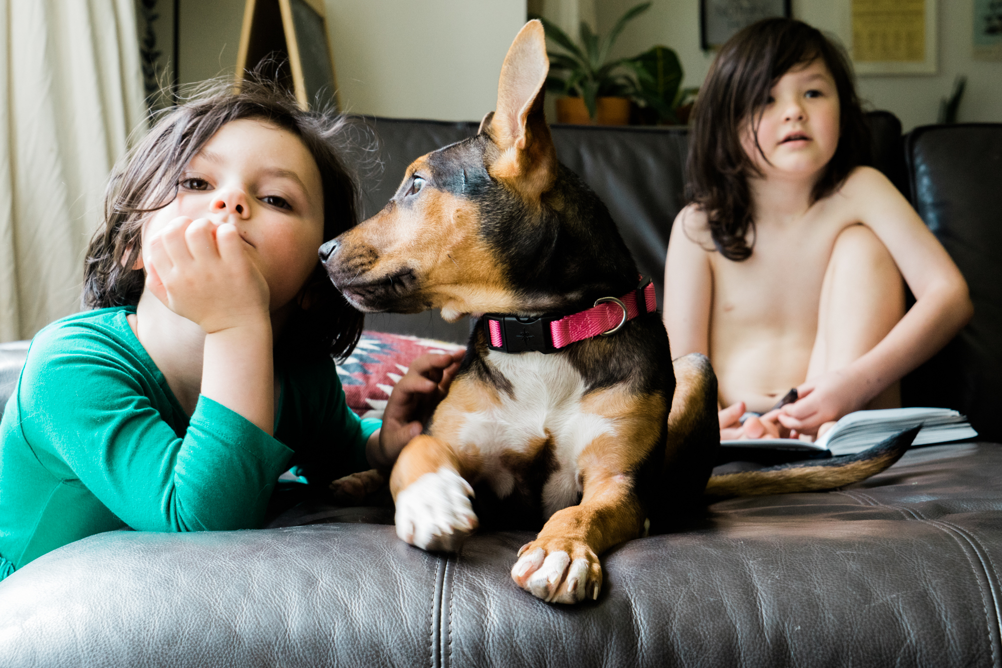 kids with puppy - Documentary family photography