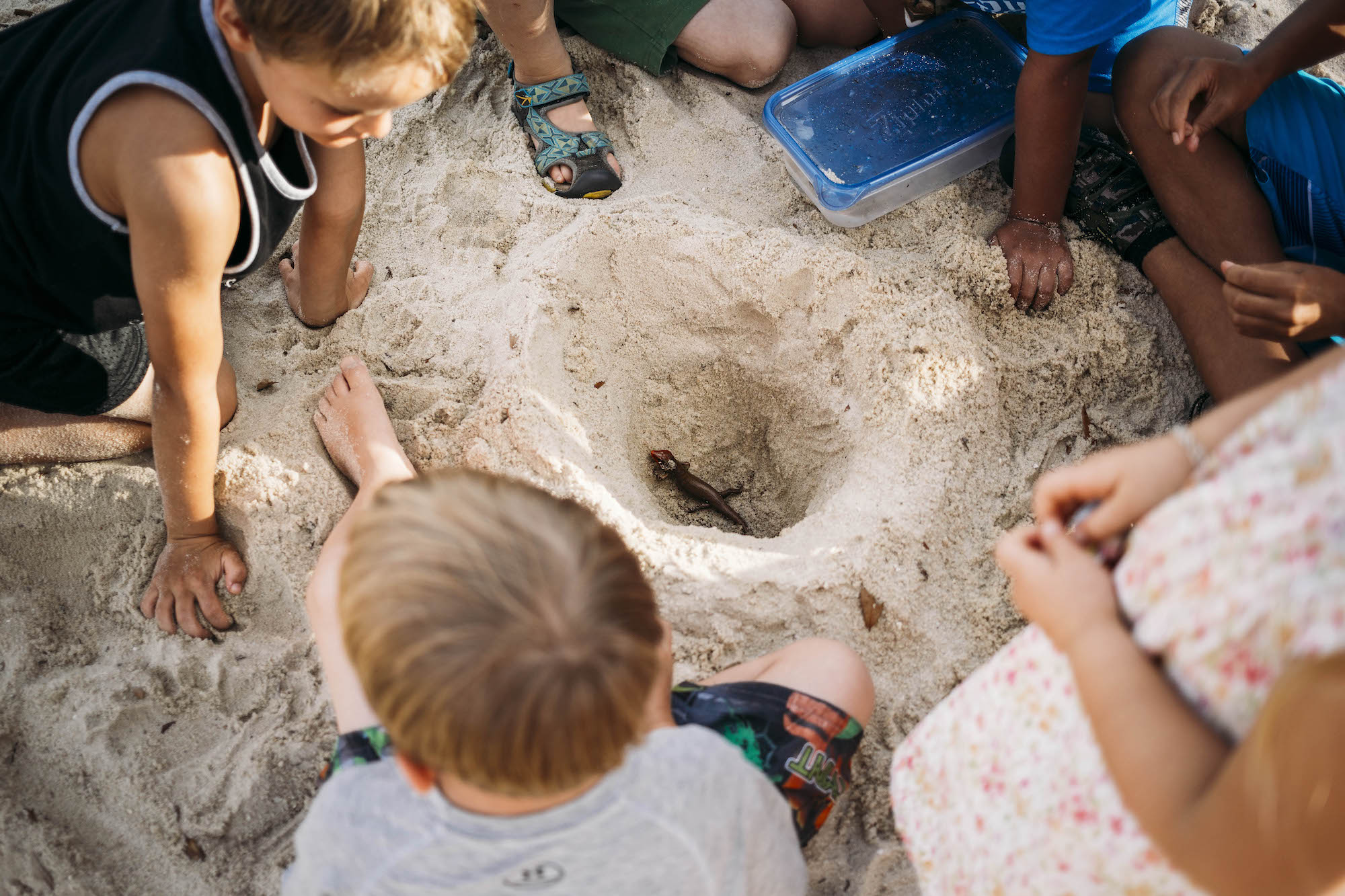 kids with lizard in sand pit - documentary family photography
