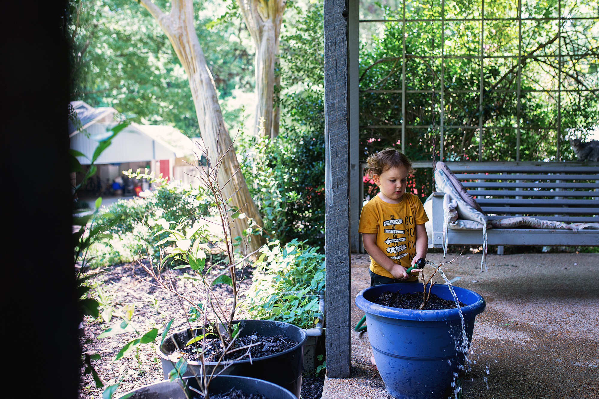 boy watering plant in pot - documentary family photography