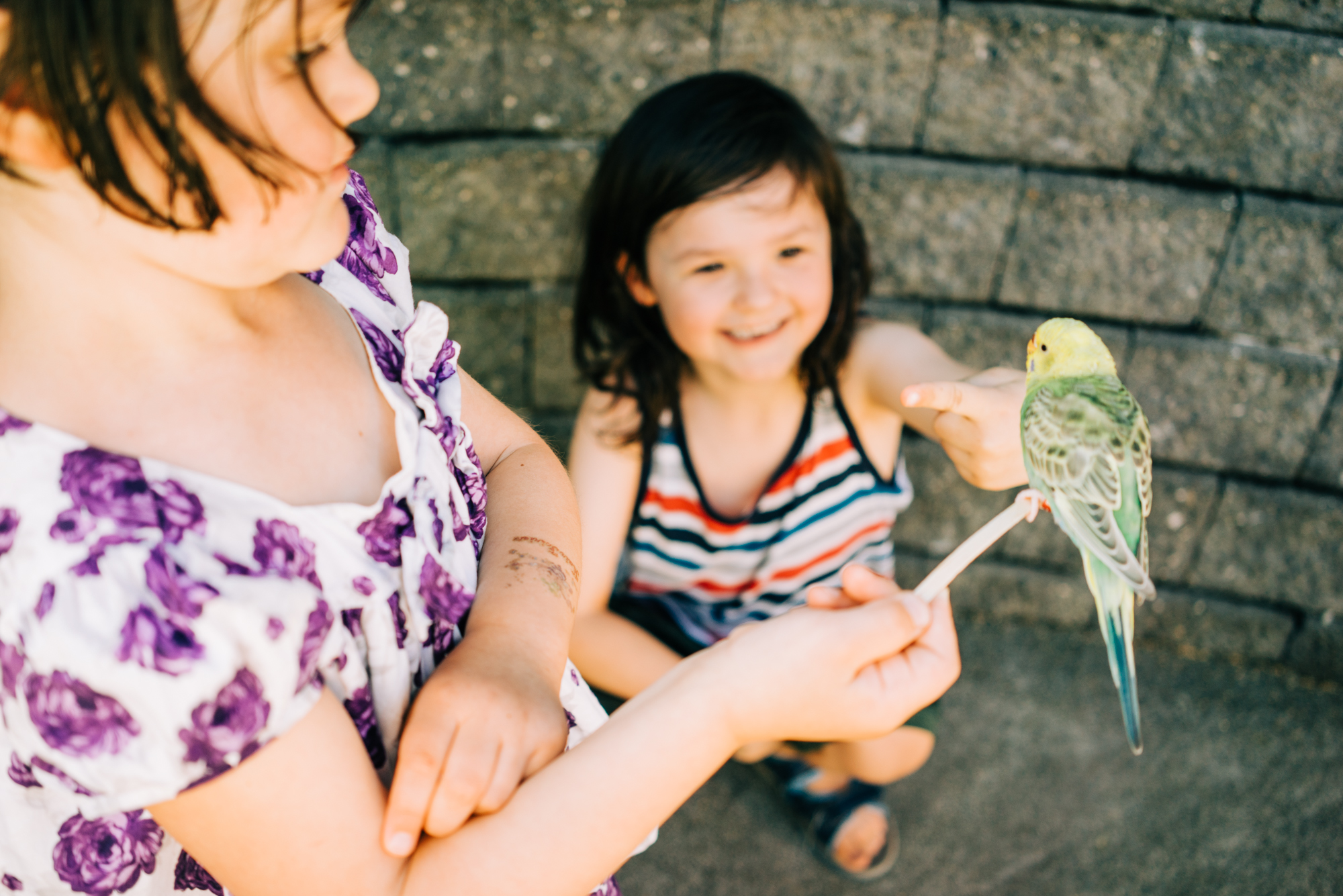 kids with parakeet - documentary family photography