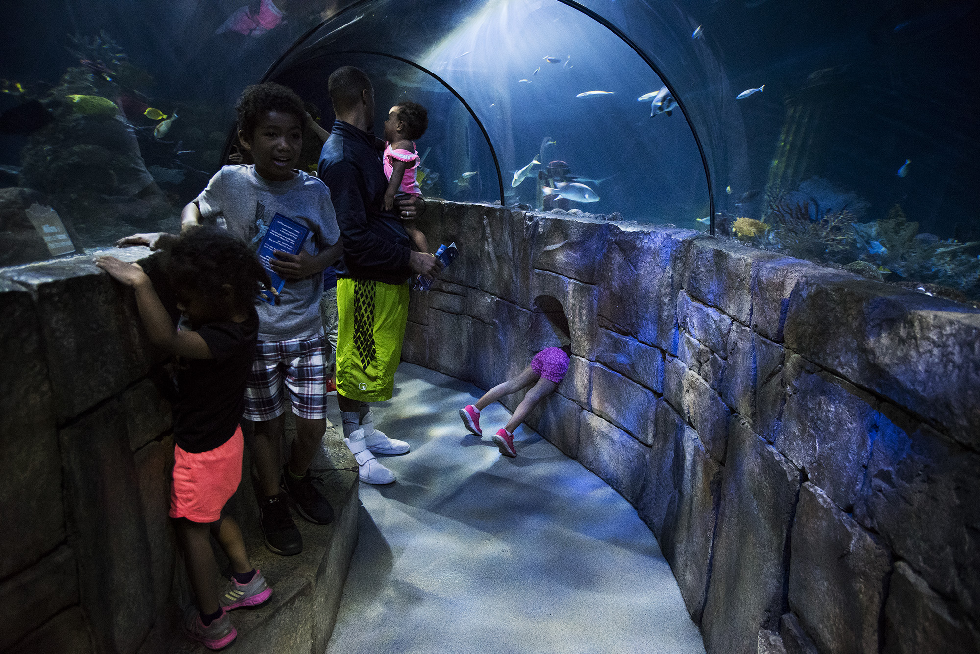 kids at aquarium - Documentary Family Photography