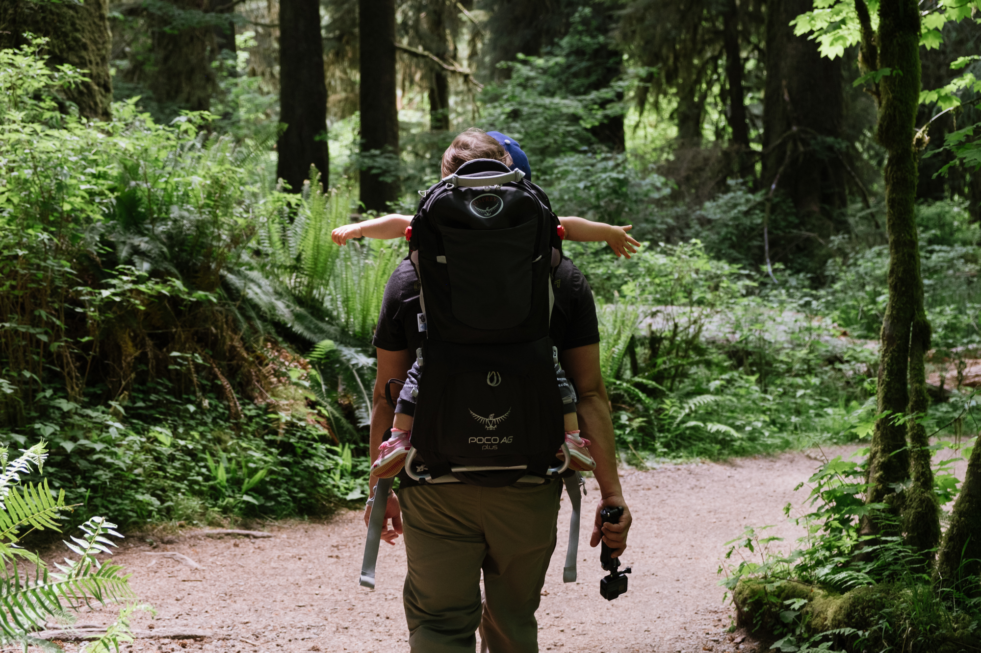 baby stretches in baby hiker - Documentary Family Photography