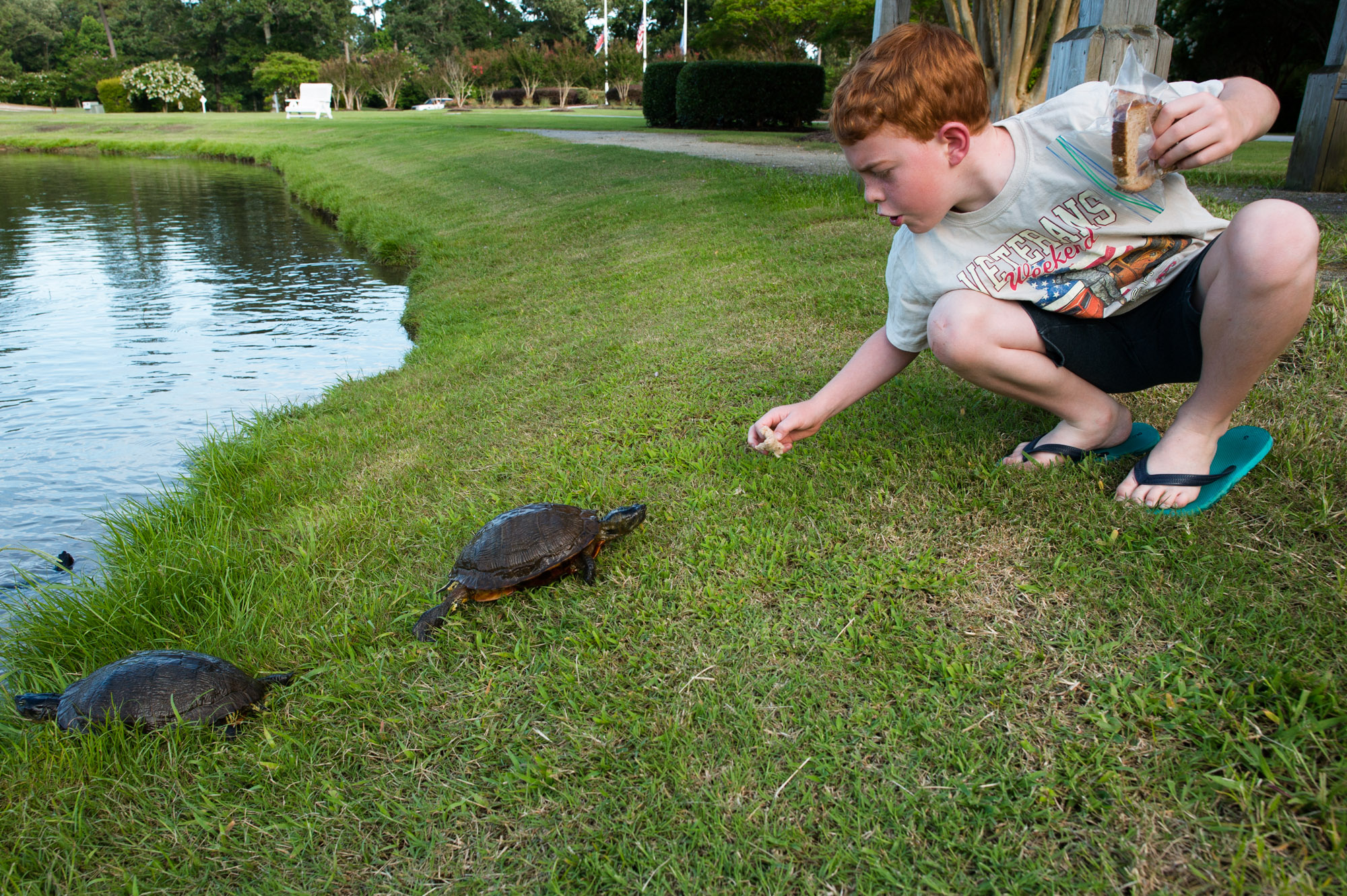boy feeds turtle - Documentary Family Photography