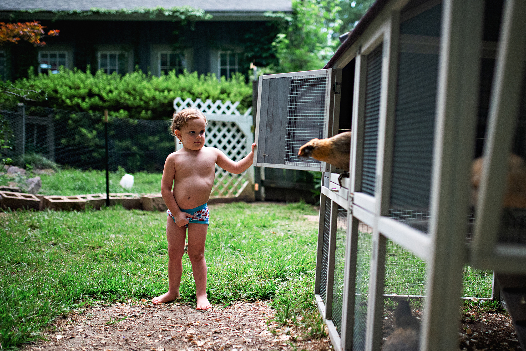 boy at chicken coop - documentary family photography