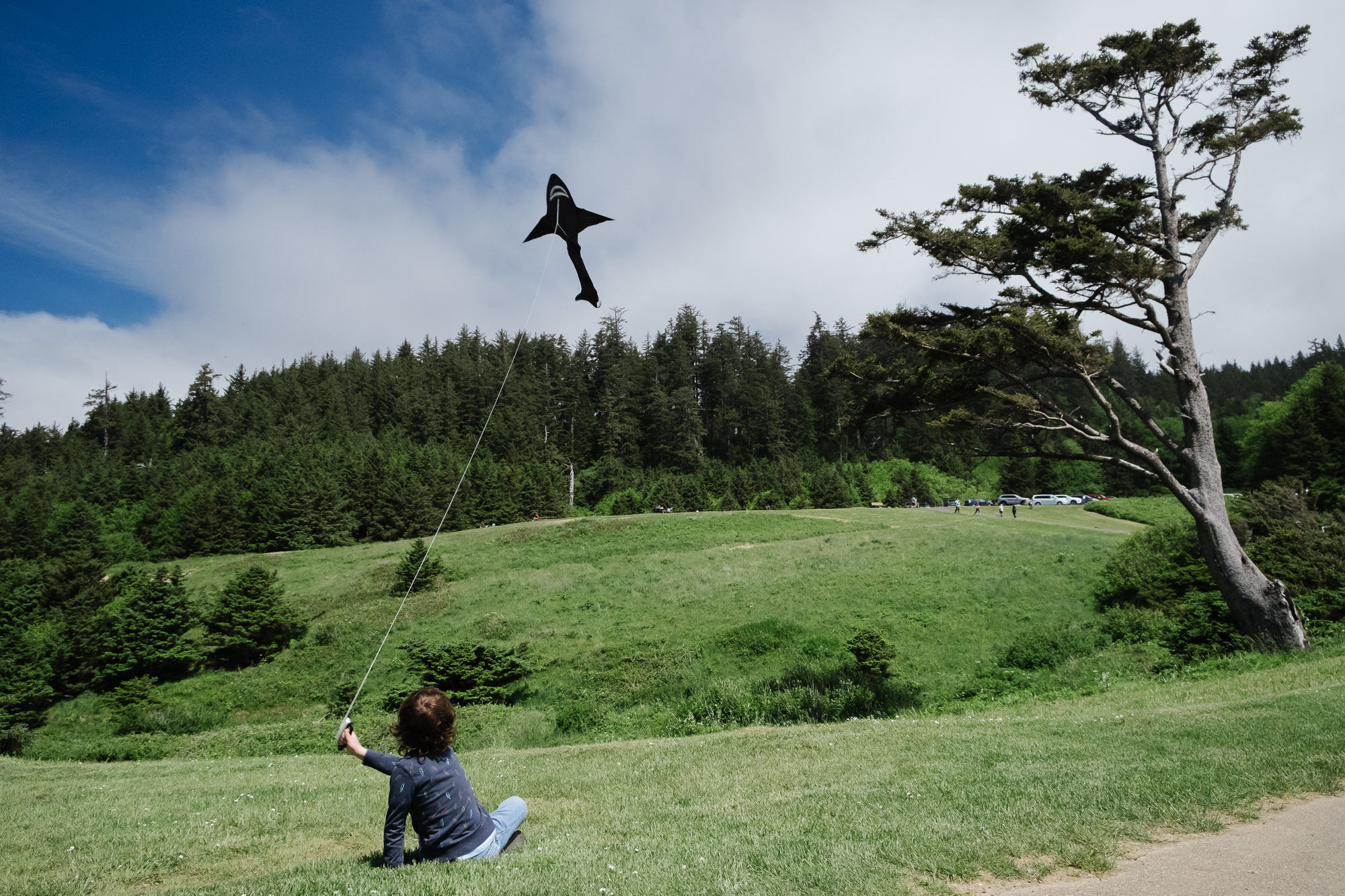 boy flying kite - documentary family photography
