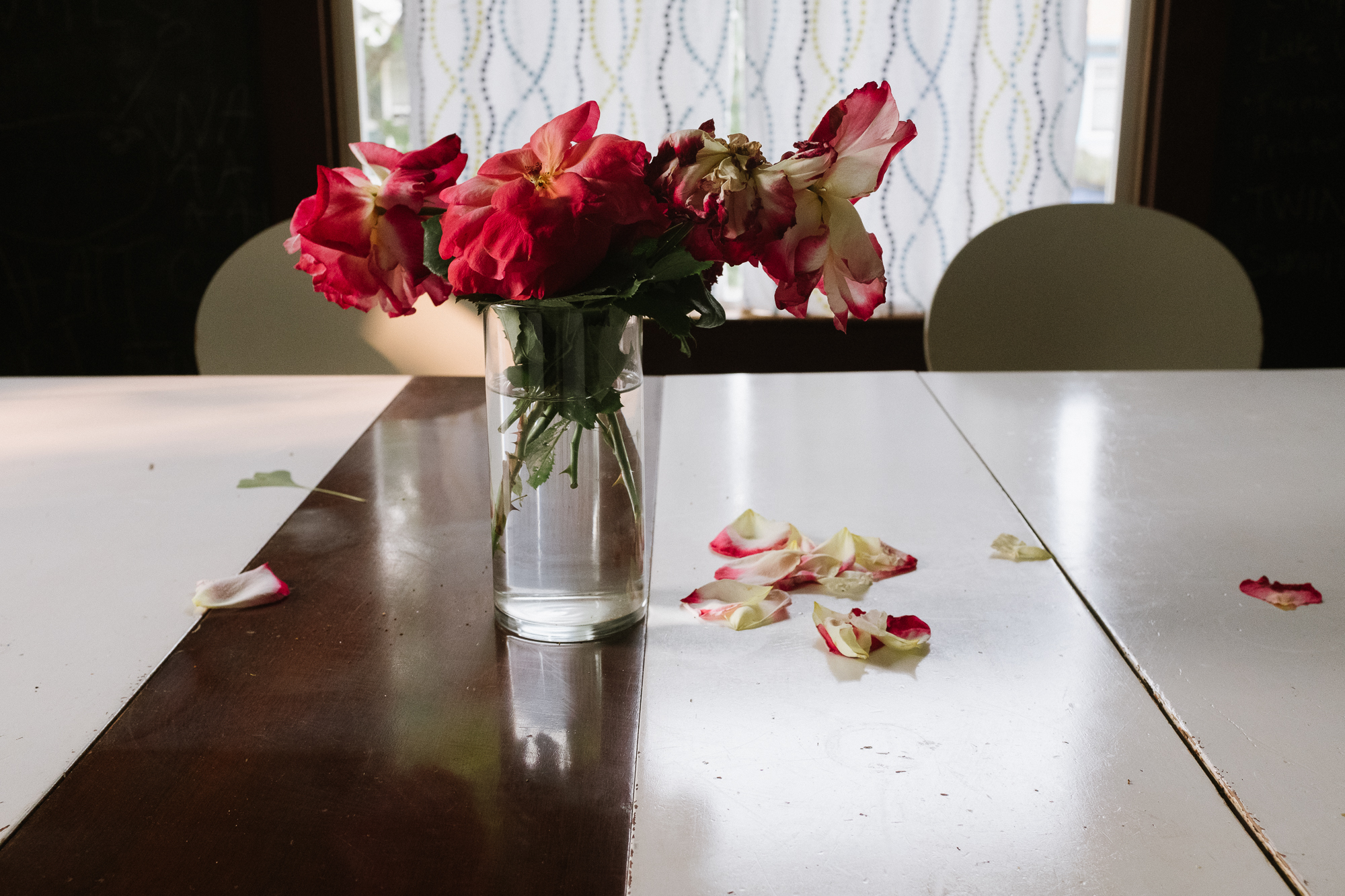 Flowers dropping petals on table - documentary family photography