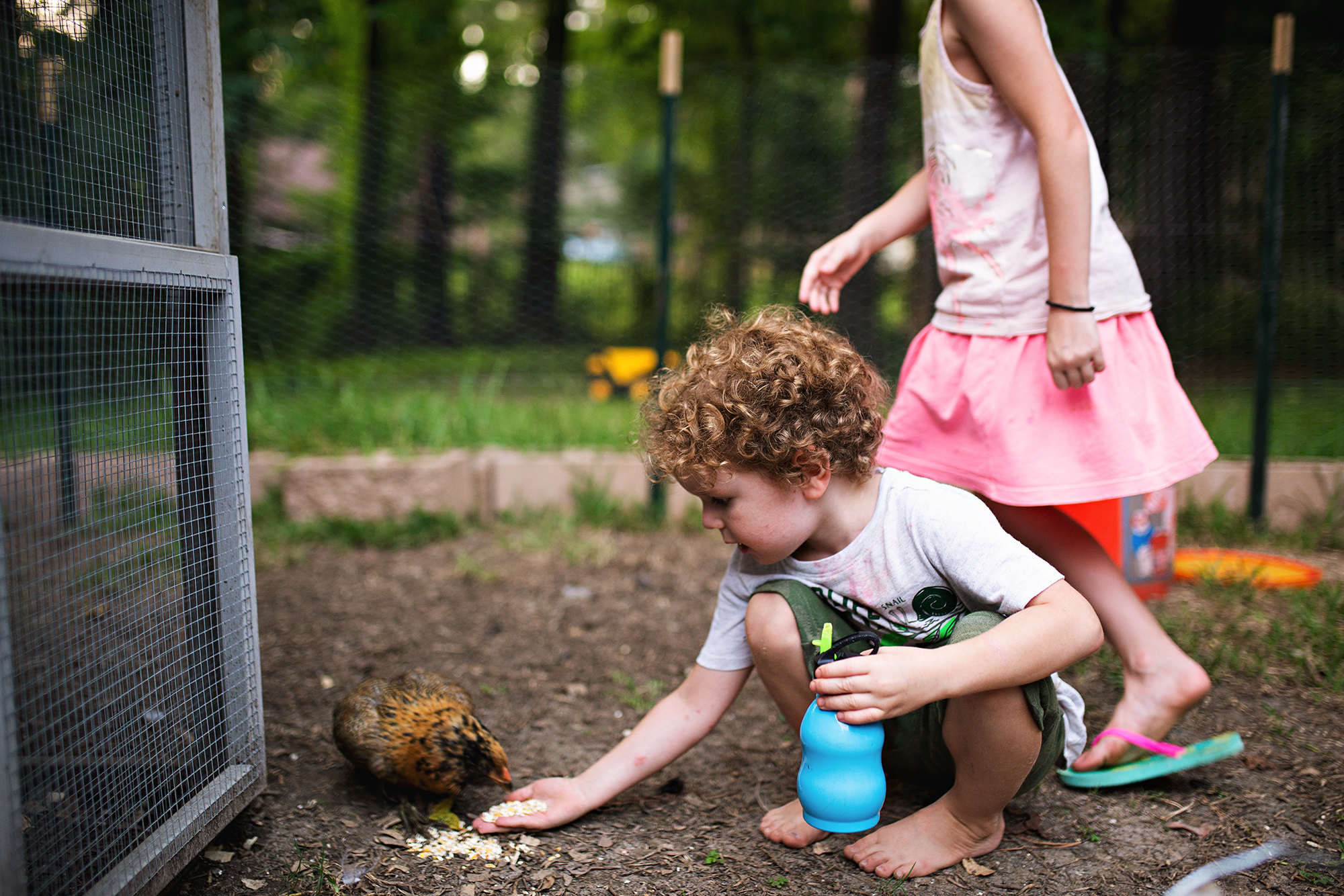 kids feeding chickens - documentary family photography