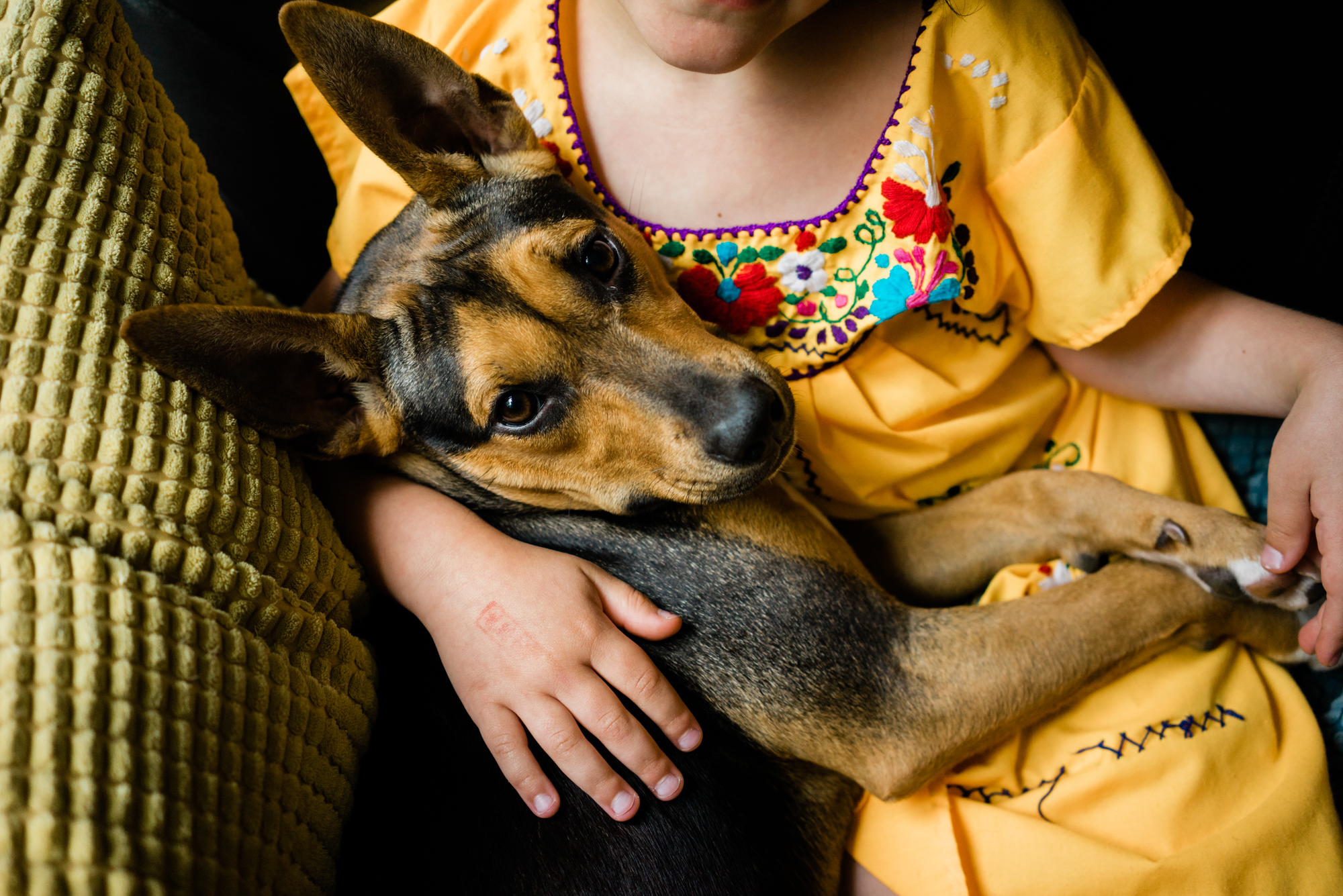 girl holding puppy - documentary family photography