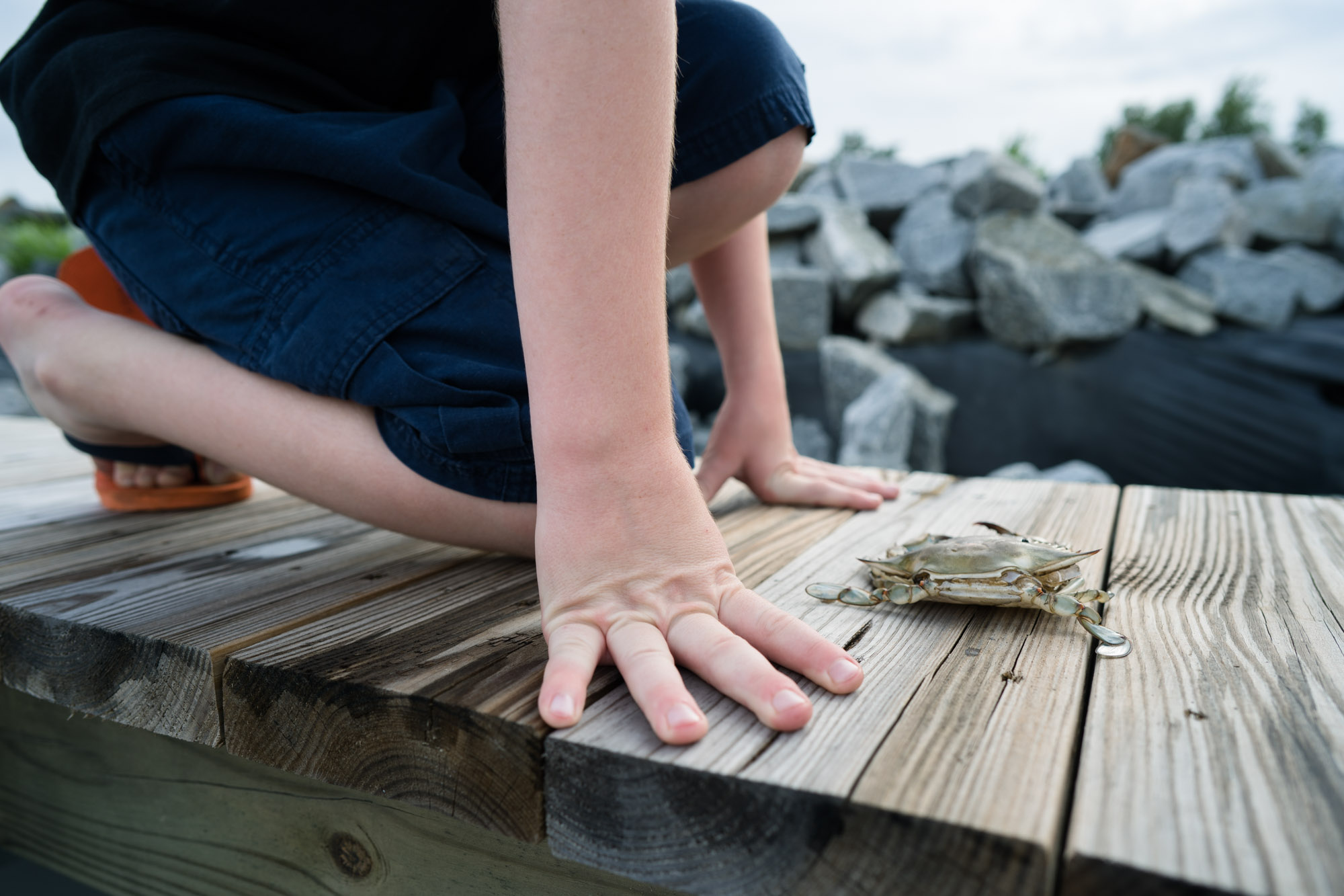 boy with crab - documentary family photography