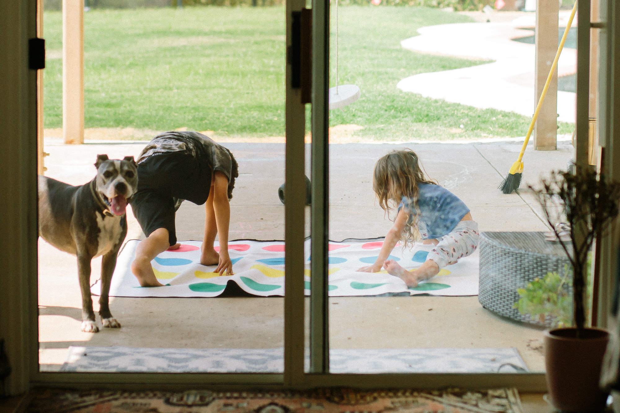 dog at back window - documentary family photography