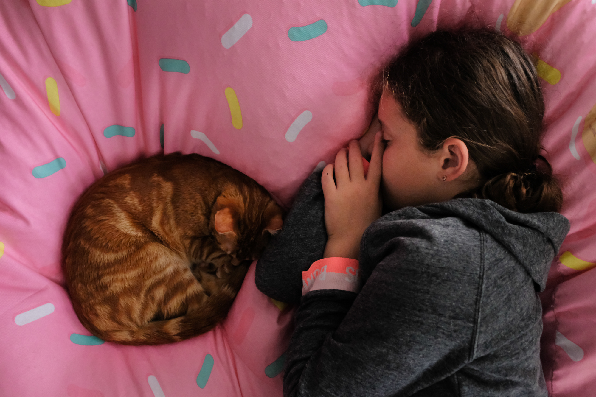 kid sleeping with cat - documentary family photography