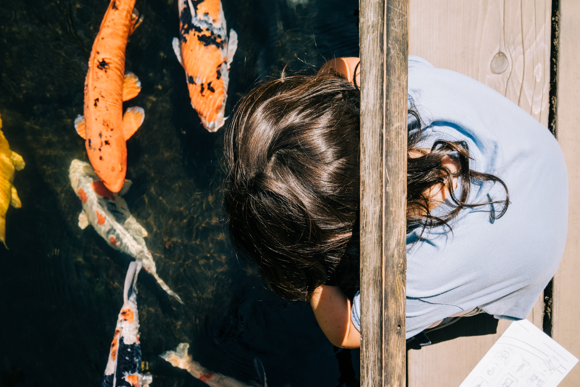 kid looks into koi pond - documentary family photography