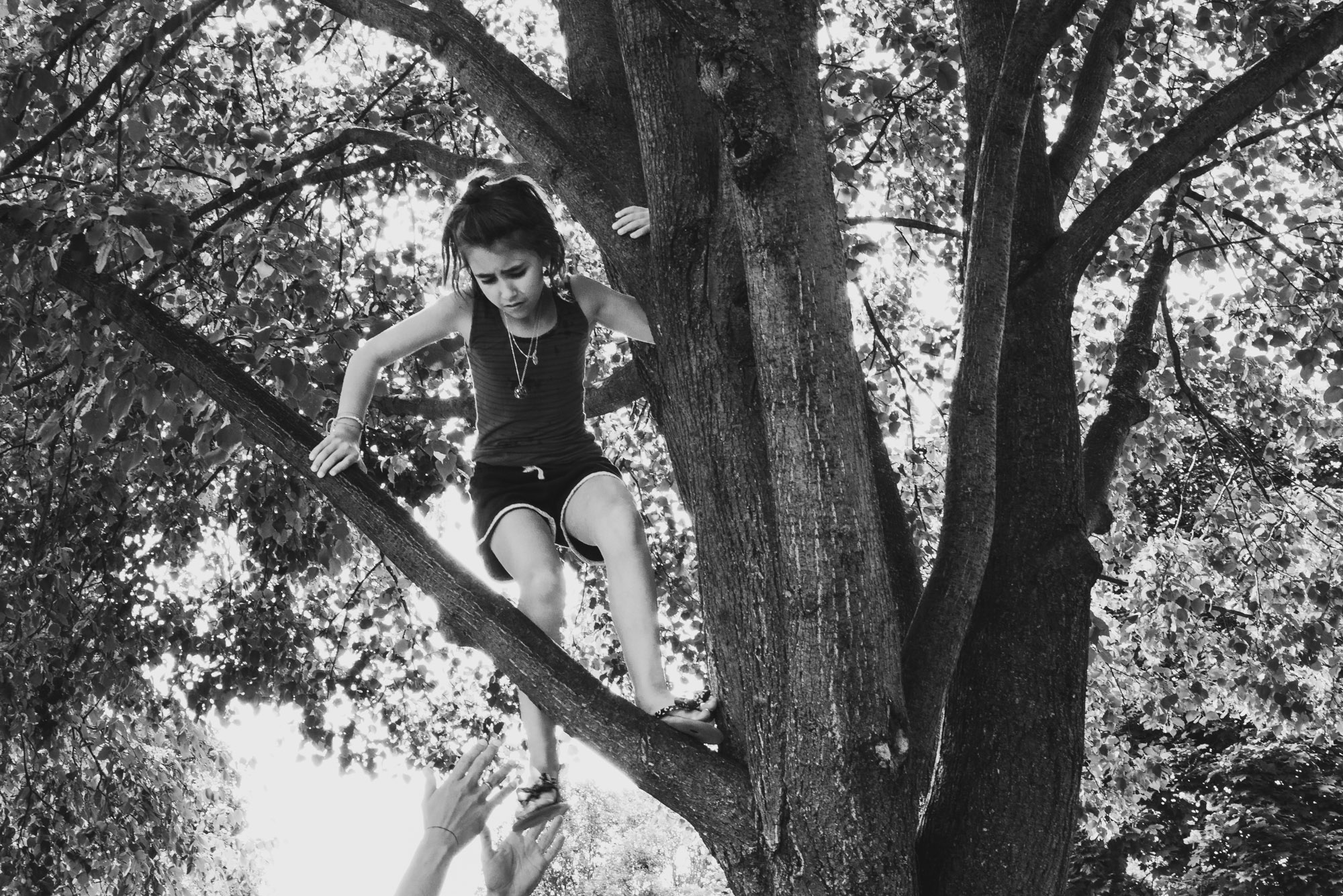 girl climbing tree - documentary family photography
