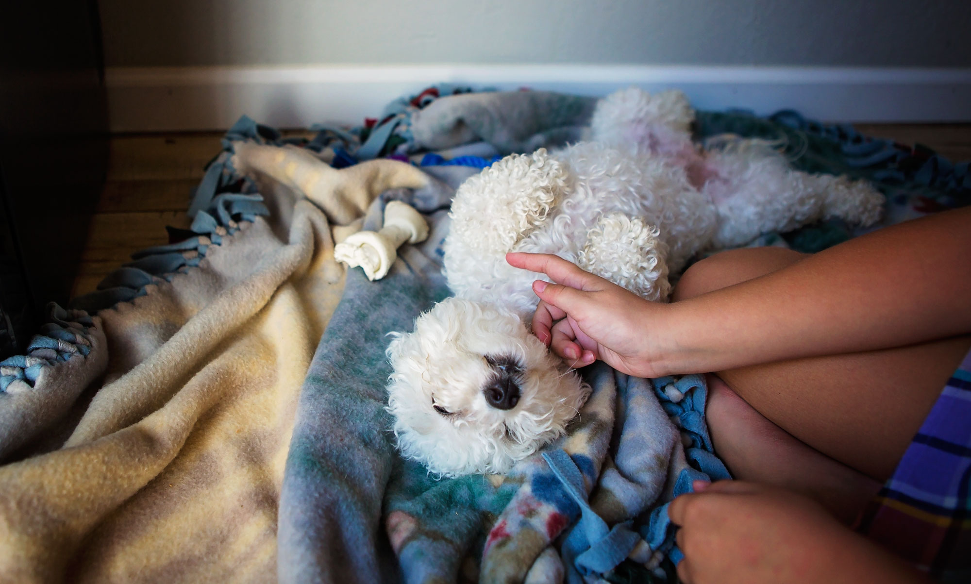 girl petting dog - documentary family photography