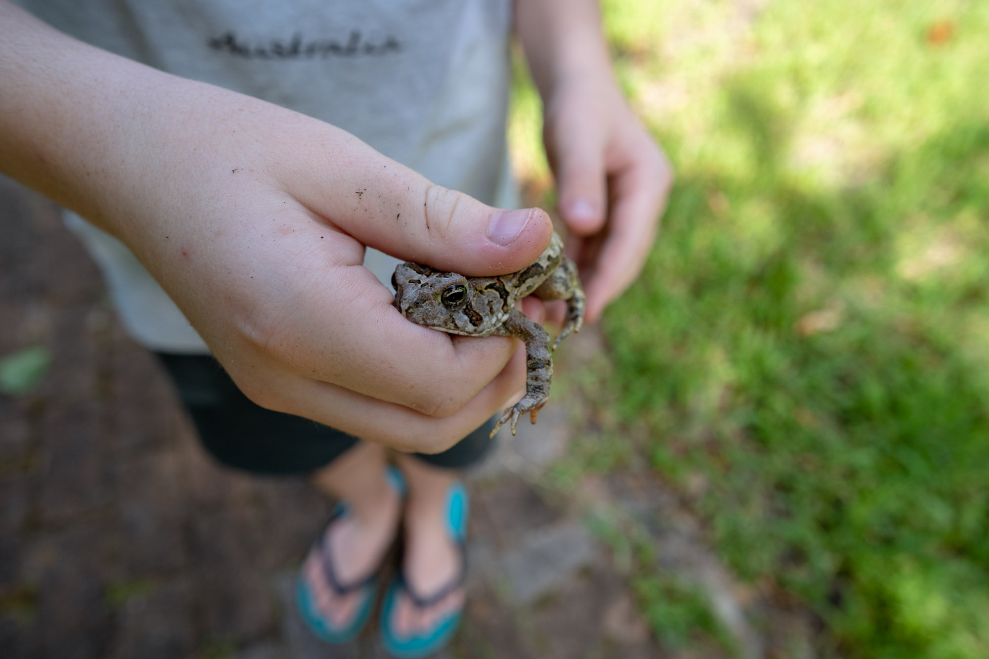 boy holding frog - documentary family photography