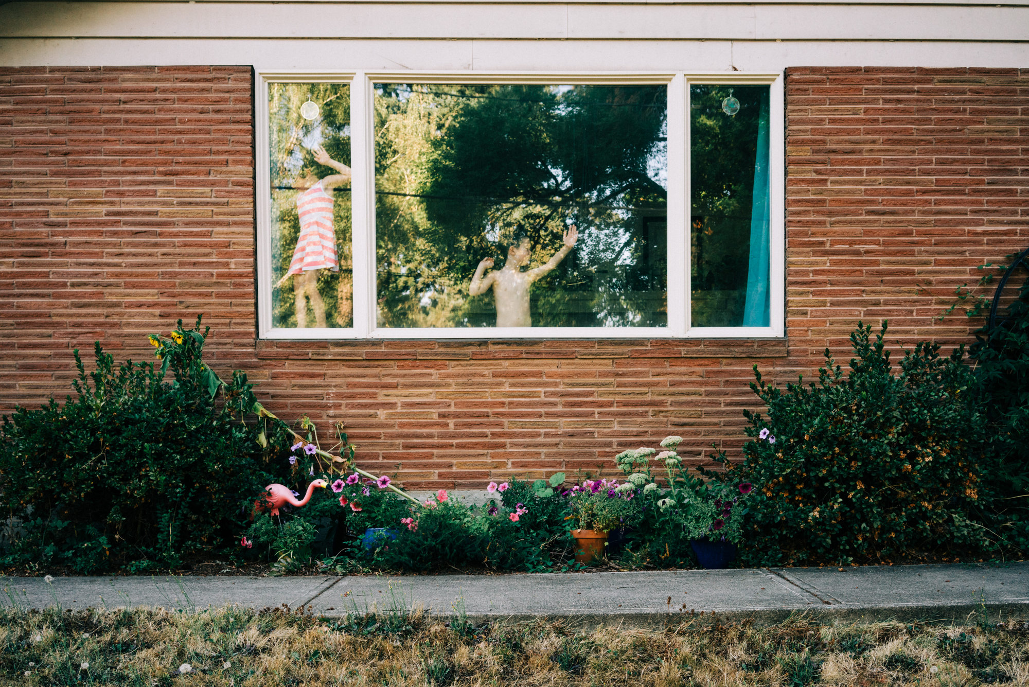 kids in window - documentary family photography