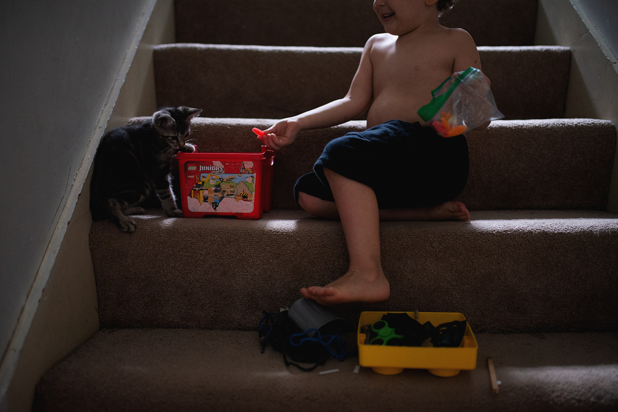 child with kitten - documentary family photography