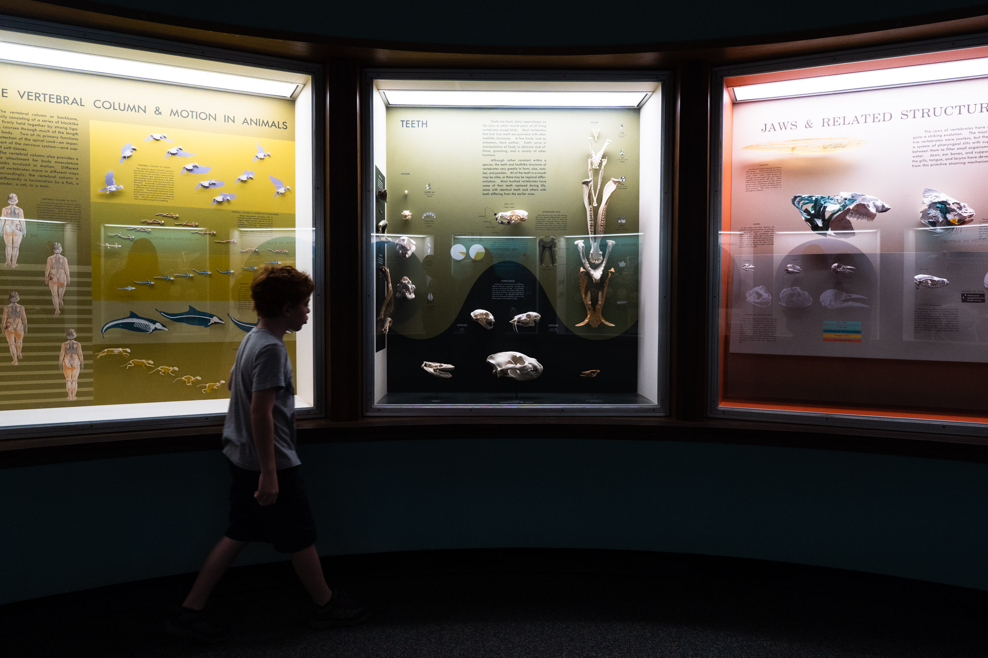 kid at museum - documentary family photography