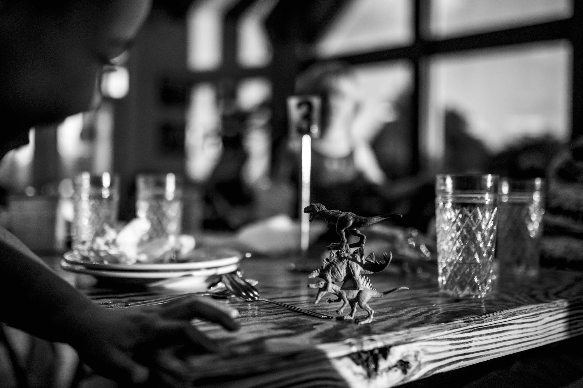 dinosaurs on kitchen table - documentary family photography