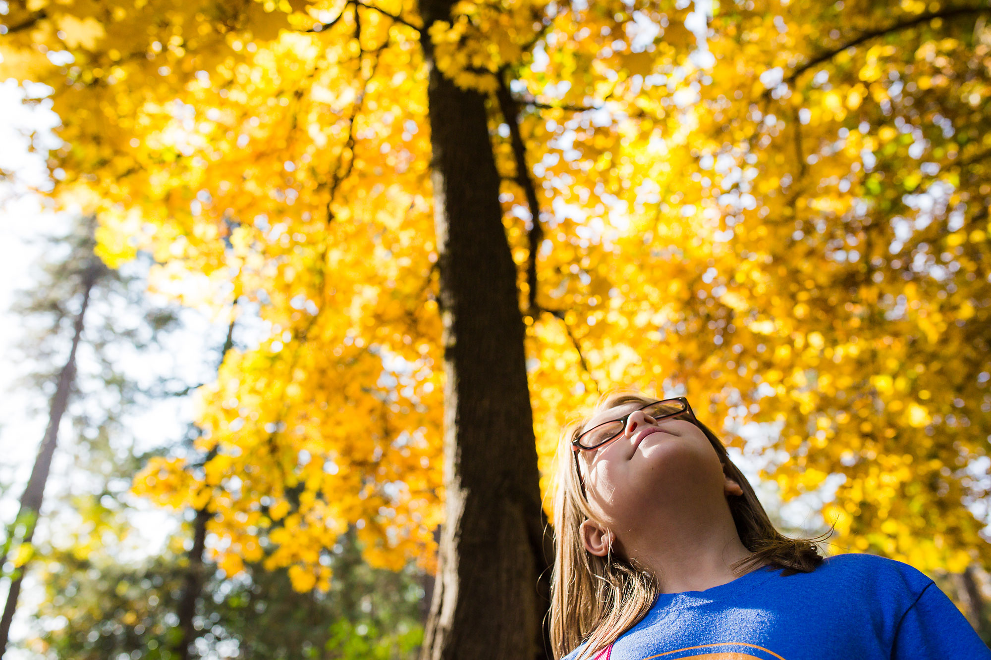 girl underneath fall tree - documentary family photography