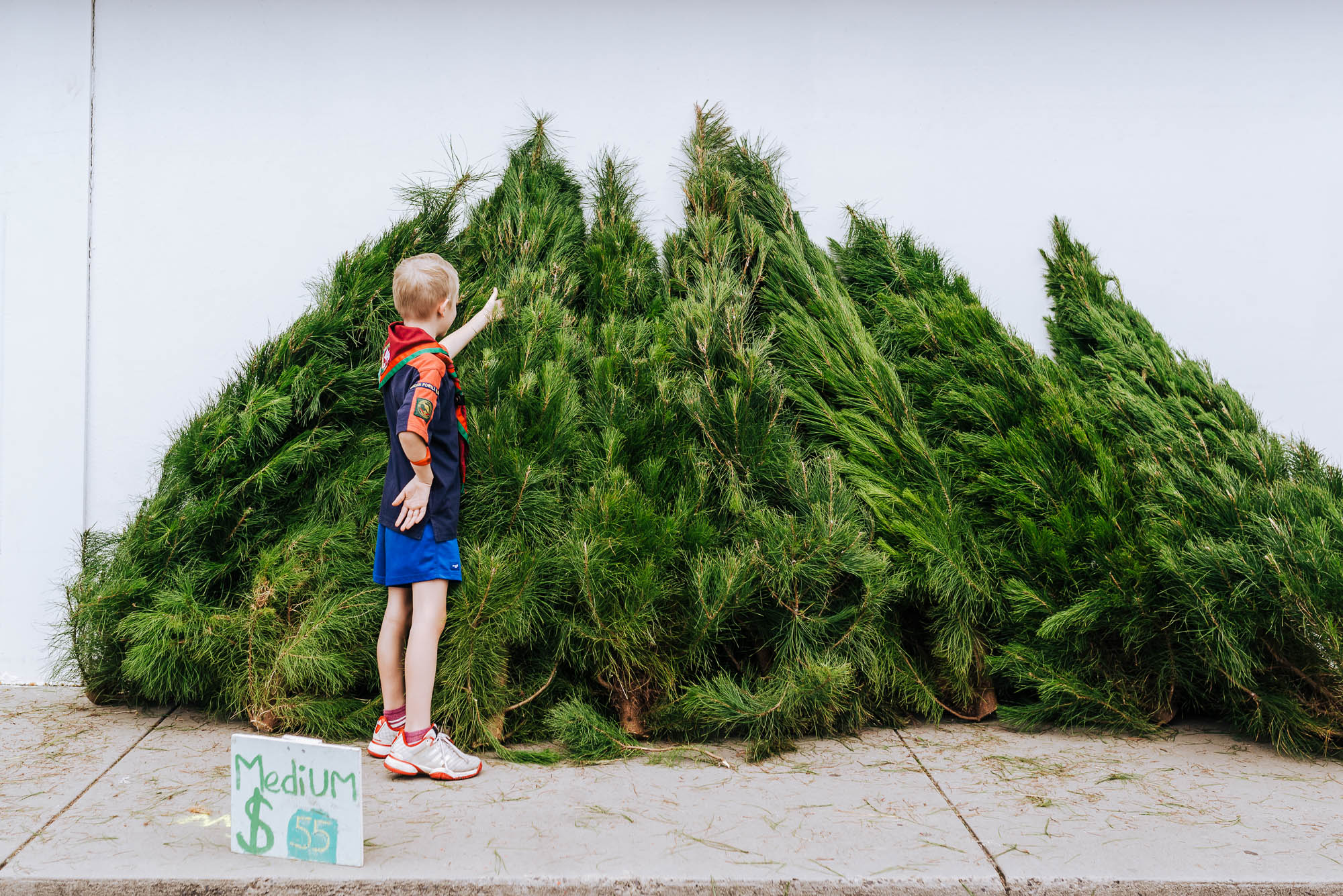 boy with christmas trees - documentary family photography