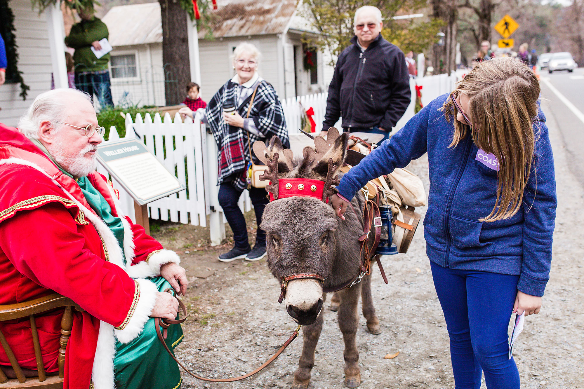 Christmas donkey - documentary family photography