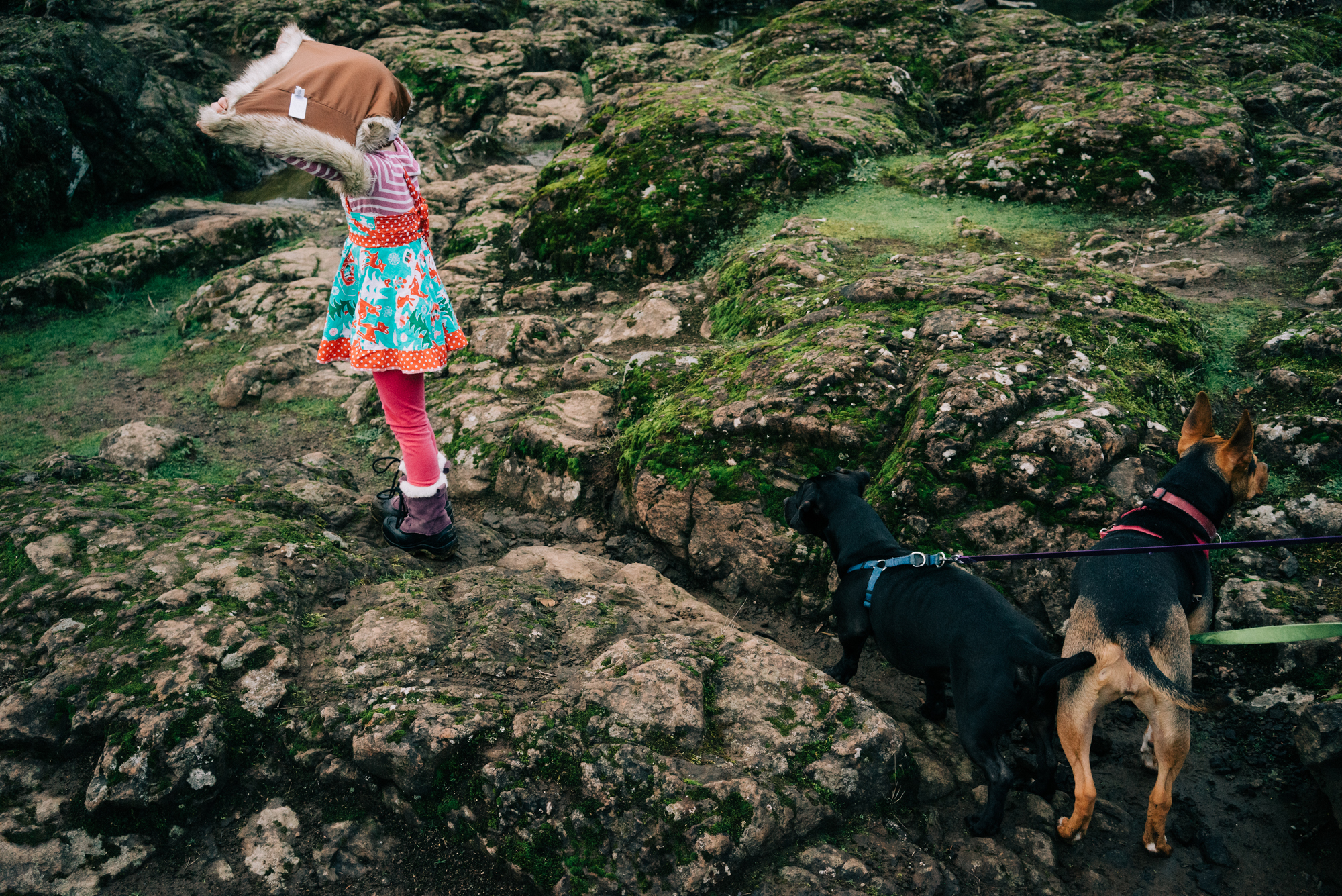 kids climbing rocks - documentary family photography