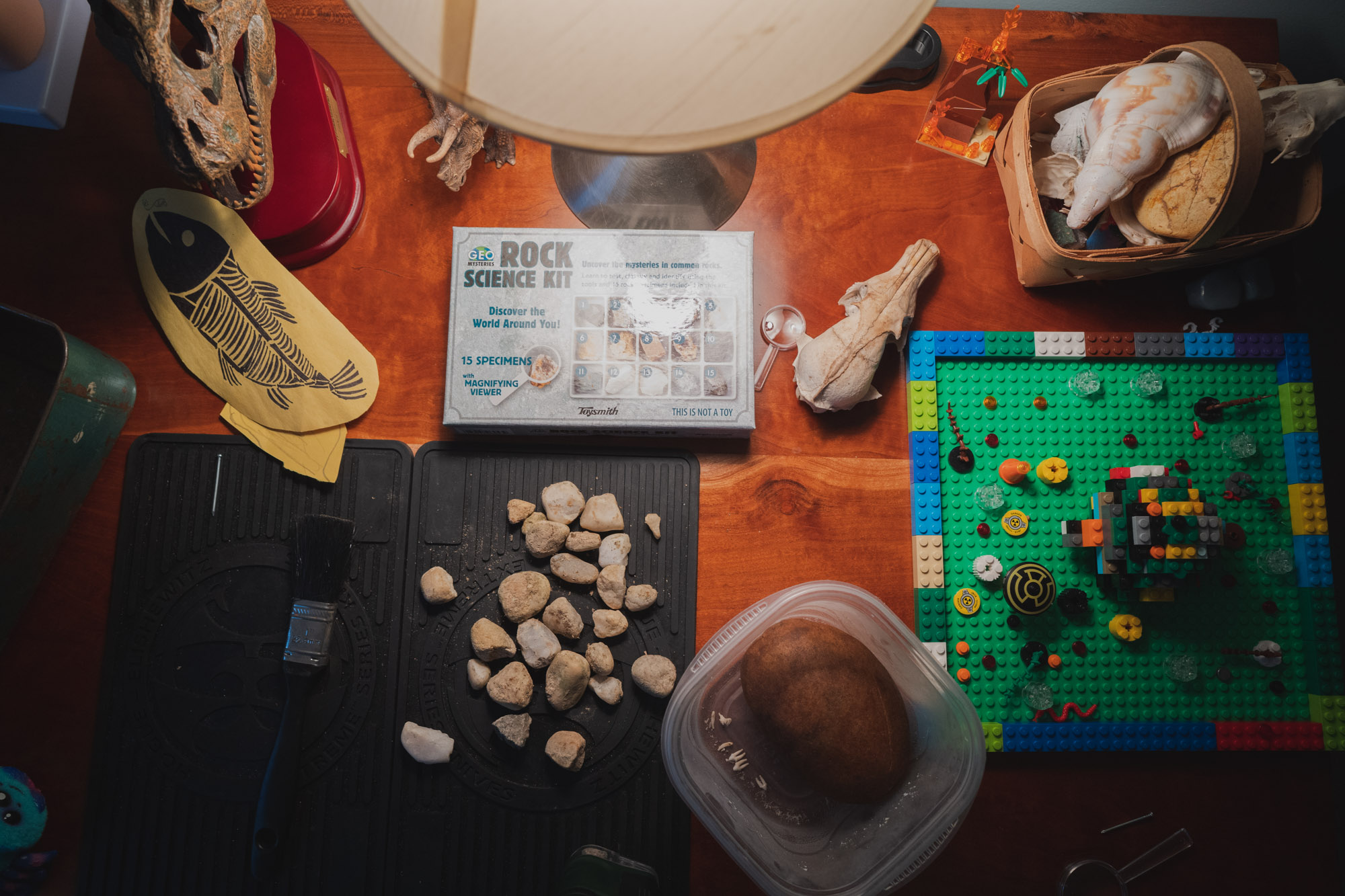 table top with rock studies - documentary family photography