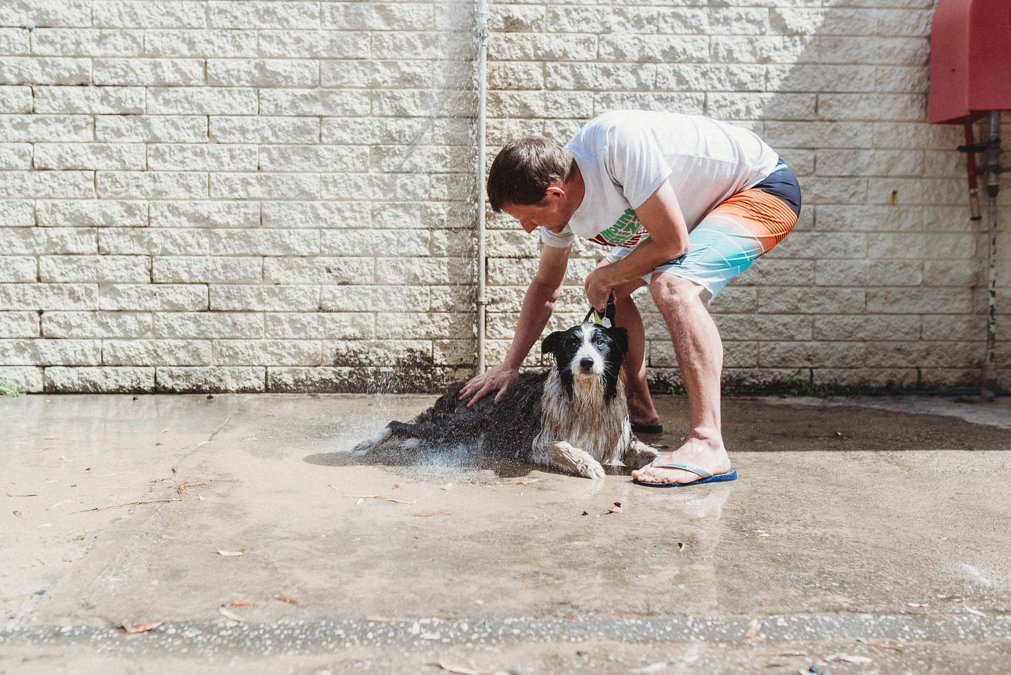 man bathing dog - documentary family photography