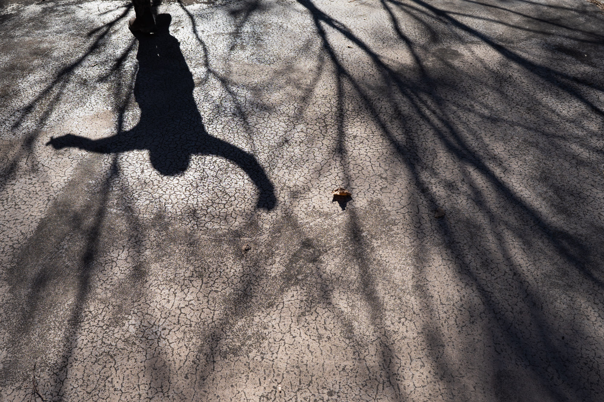 boy's shadow on sidewalk - documentary family photography